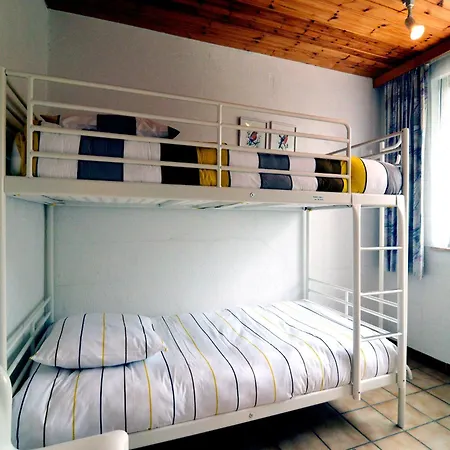 Pet Escape In Ardennes