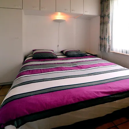 Pet Escape In Ardennes *