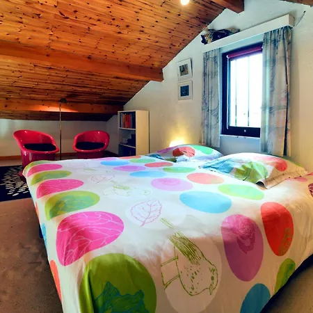 Pet Escape In Ardennes *